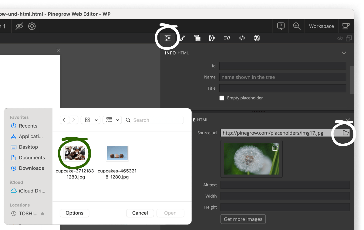 Selecting your own images in the Element properties tab in Pinegrow